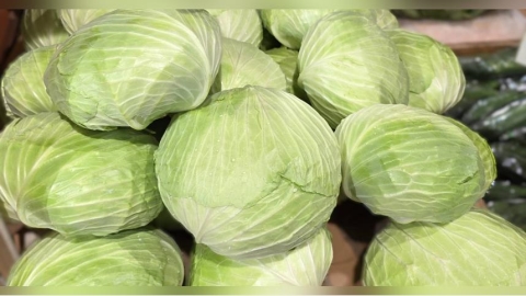 高麗菜產量過剩1顆僅19元！如何挑選、保存方法曝　最長可放2個月