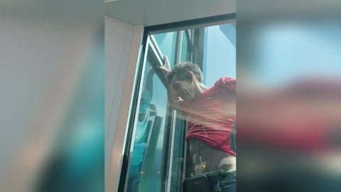 霍諾德完封101！景觀台視角曝光　網驚：這腹肌比我人生規劃還清楚