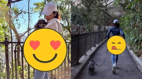 54歲黎姿少女體態曝光！貼身運動褲炸出「飽滿雙Q蛋＋小蠻腰」網看傻…