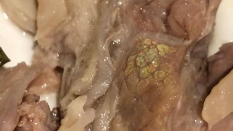 肉片驚見「螢光綠光」掀食安問題？網嚇壞狂問…專家揭密真相：很新鮮