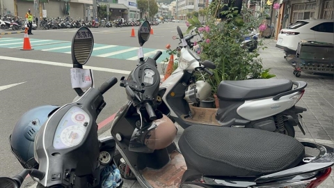4567份皮蛇疫苗補助搶翻天!代排、違停亂象頻傳