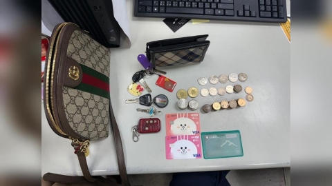 孫生媽偷精品包當場人贓俱獲　竟辯「眼睛開刀看不到」