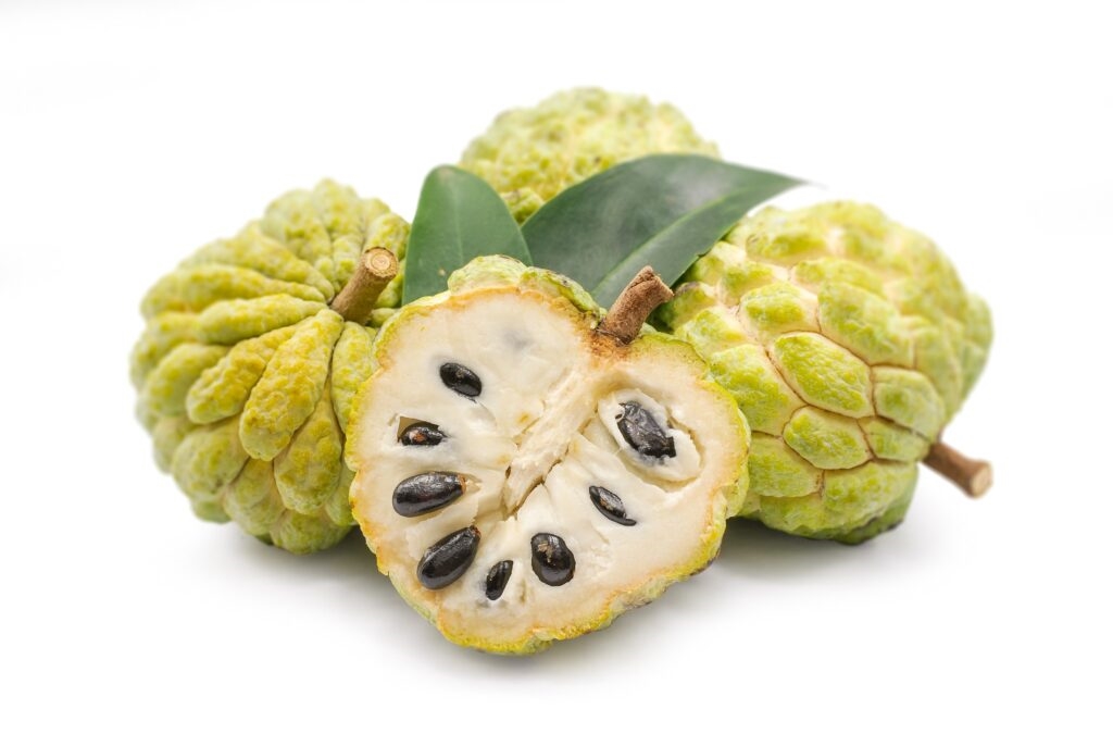 釋迦的外型跟佛祖釋迦牟尼佛相似，拿來拜拜是大不敬的。圖/123RF圖庫