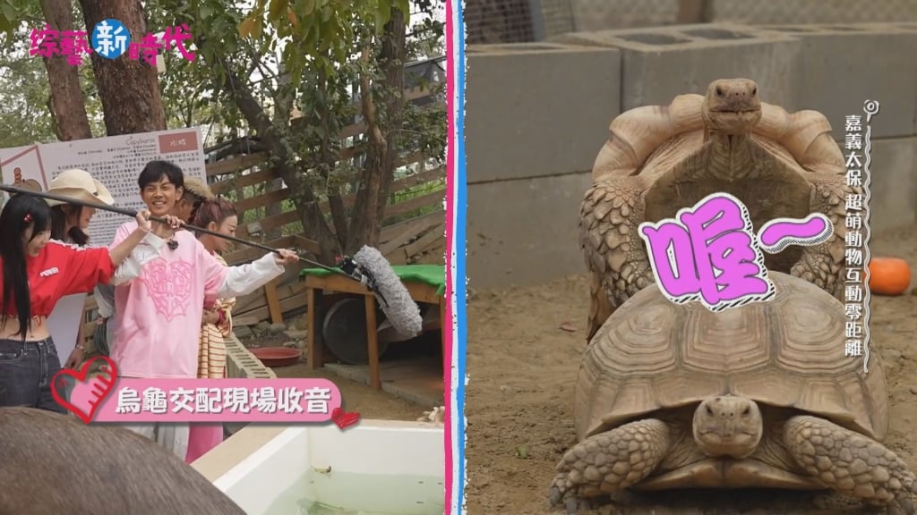 錄影到一半撞見活春宮！楊繡惠吃驚「還有聲音」 羞澀畫面全都錄