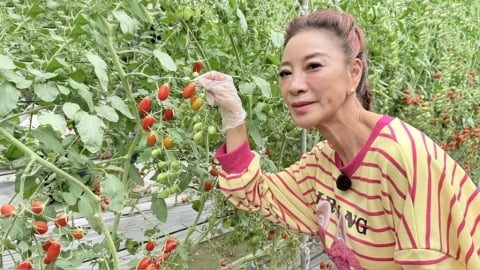 錄影到一半撞見活春宮!楊繡惠吃驚「還有聲音」 羞澀畫面全都錄