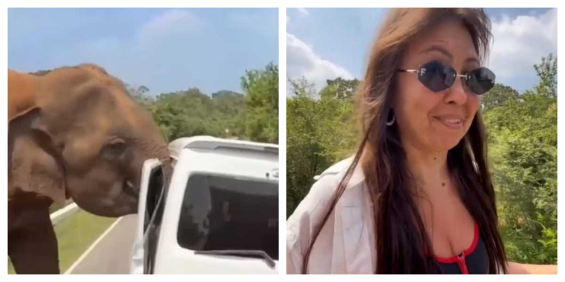 旅客事後仍心有餘悸：「這趟旅行，我們永生難忘。（圖／翻攝自IG，miklovsky）