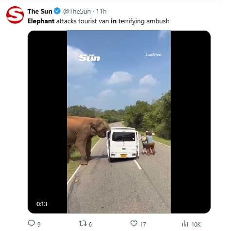 斯里蘭卡一頭野象伸鼻攻擊觀光車，當場扯下車門，畫面驚險。（圖／翻攝自X，@TheSun）