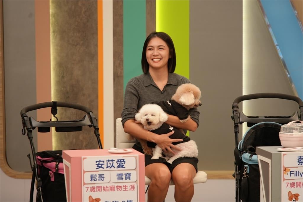 安苡愛毛孩濕疹反覆發作！只在家洗澡竟神奇痊癒