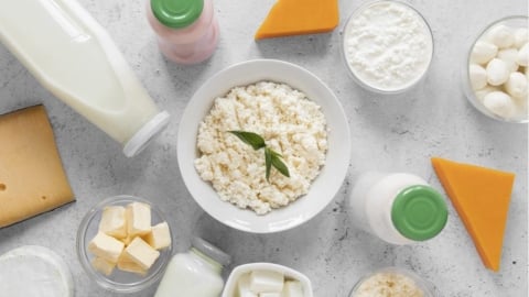 吃哪些食物可以養好菌？營養師揭 7 大益生菌食物＋5 種益生元推薦