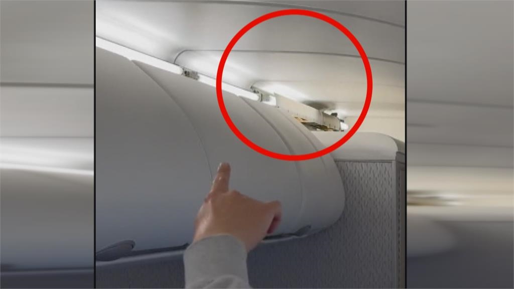 國泰班機"鳥隻闖機艙"引騷動 乘客展開抓鳥行動延誤50分鐘