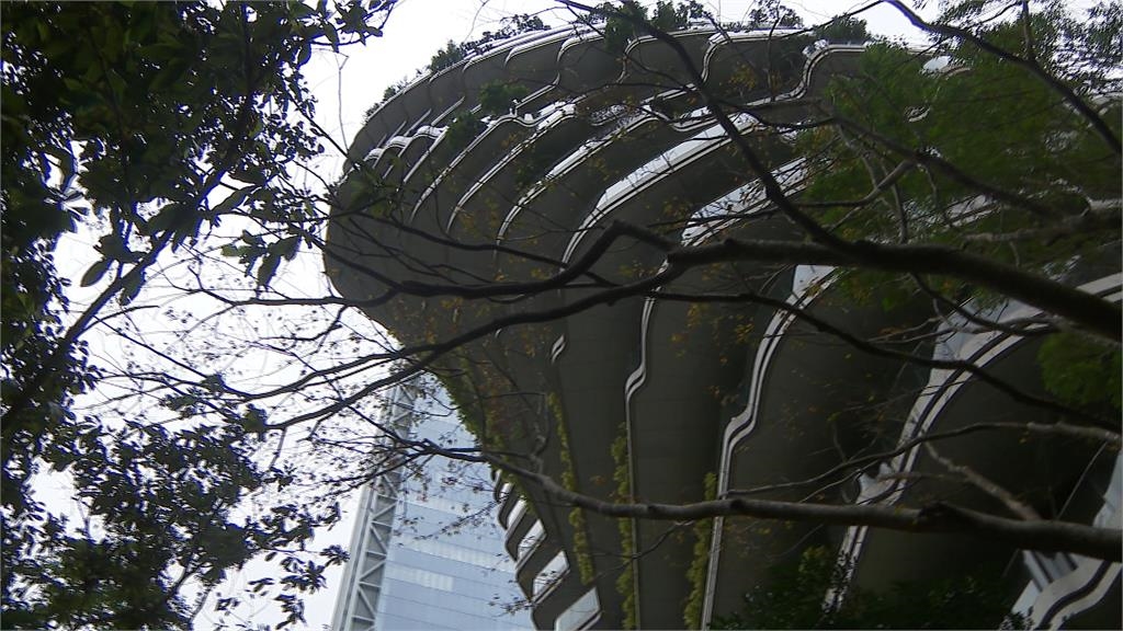 豪宅「陶朱隱園」首度對外開箱　直擊２千坪生態庭園、多功能車梯