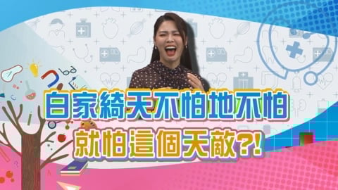 (影)／白家綺天不怕地不怕 就怕這個天敵？