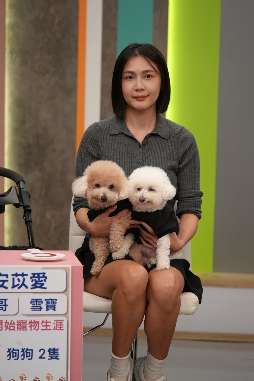 (影)／家裡有這些品種的貓 是肥厚型心肌病的高危險群？