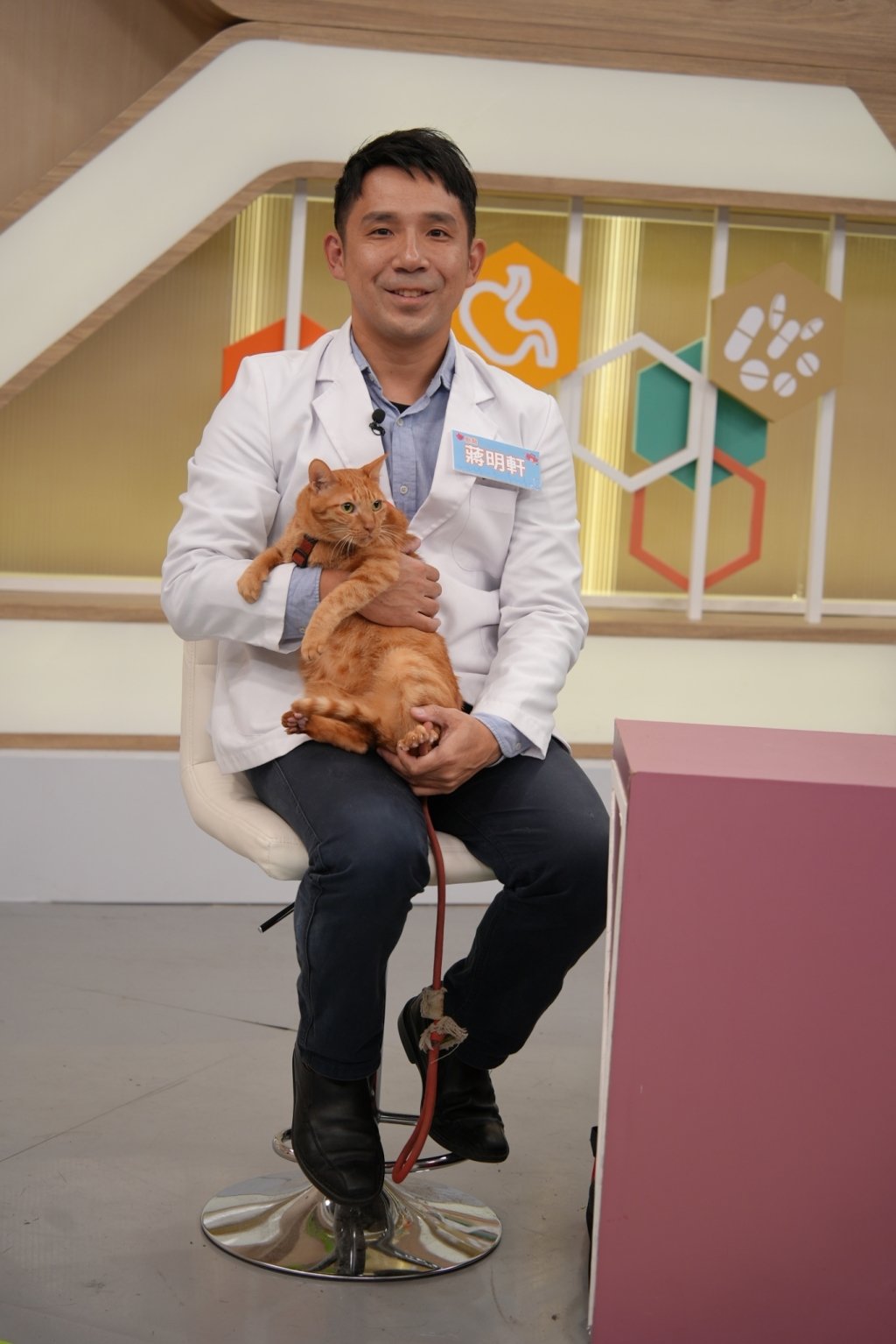 (影)／毛爸毛媽要當心 毛孩感染這病很要命？