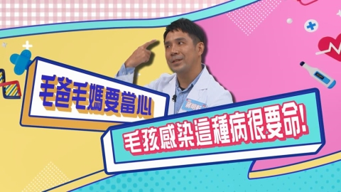 (影)／毛爸毛媽要當心 毛孩感染這病很要命？