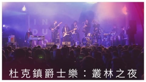 爵士 X 放克 X 迷幻「叢林之夜」音樂實況
