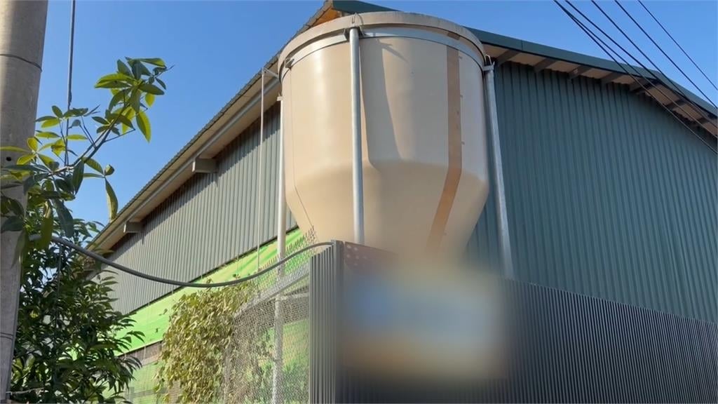 豐原蛋雞場"1700雞詭死" 盧秀燕證實:禽流感陽性