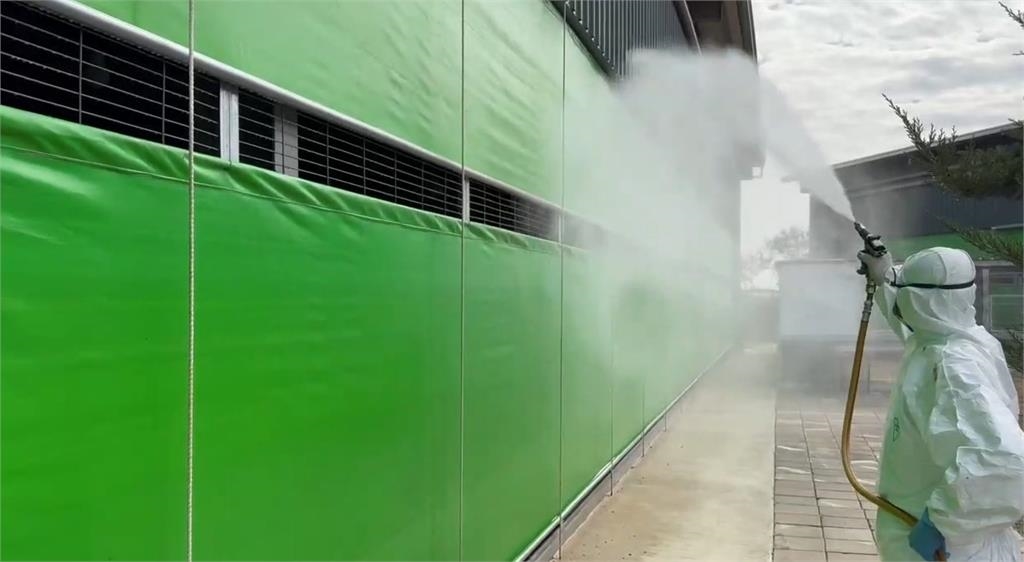 台中豐原某雞場爆禽流感　業者疑隱匿疫情恐遭重罰百萬