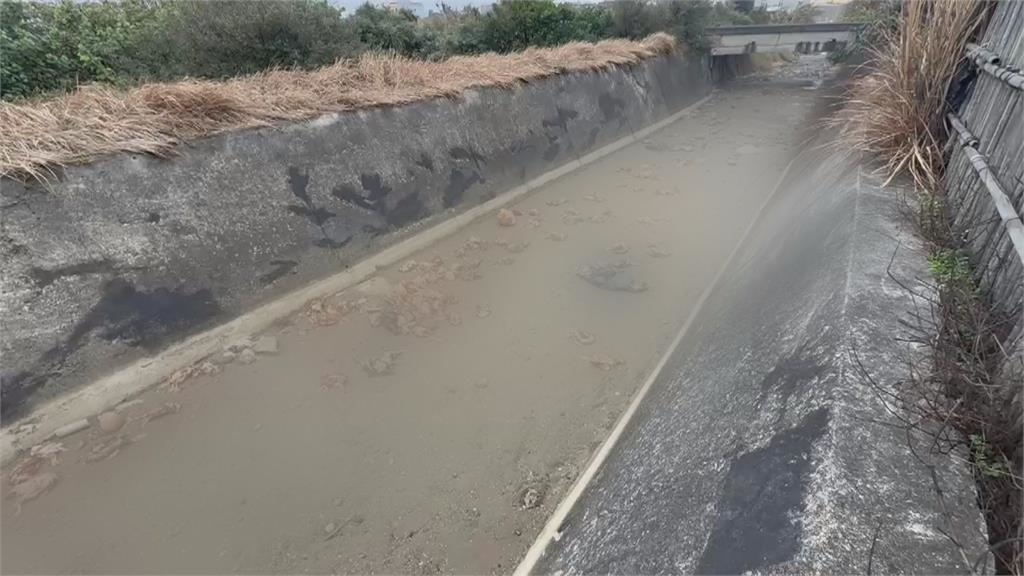 聞「死雞」色變！　苗栗棄置２３５隻死雞　今確診禽流感　引全民恐慌