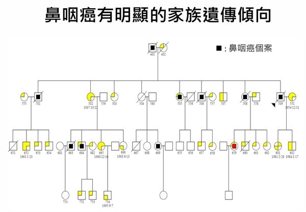 知名韓星、羽球國手都是患者！臺大醫研究：每周一杯綠茶　鼻咽癌風險降