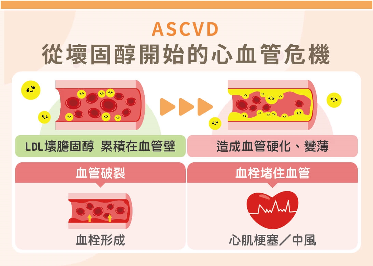 天冷心血管事件暴增？名醫帶你看懂 ASCVD 背後真正危機與壞膽固醇控制策略