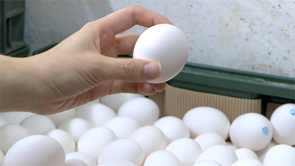 台中爆禽流感掀恐慌　無毒教母親授「吃蛋6招」：別生食、這情況快丟掉！