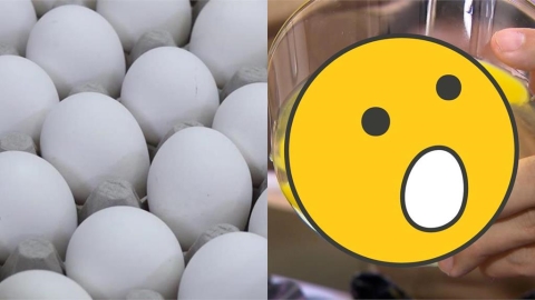 禽流感疑「蛋流市面」掀恐慌　無毒教母親授6招：別生食、這情況快丟掉！