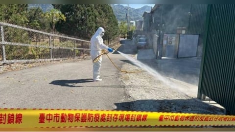 禽流感蛋流入市面！豐康牧場遭罰115萬　蛋品流向曝光波及5星店家