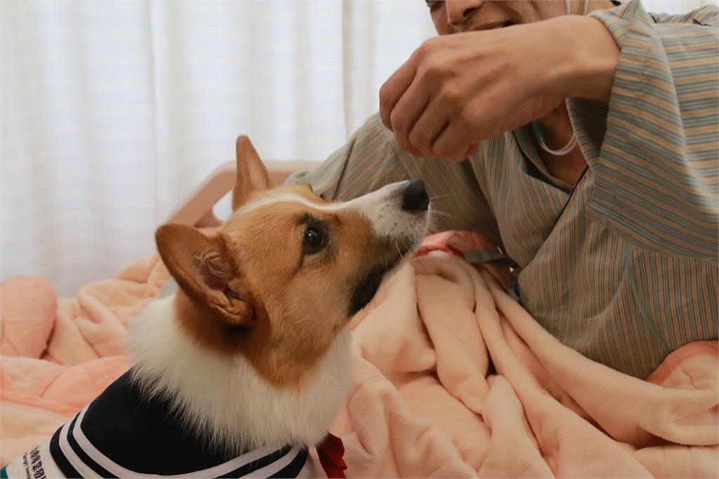 亞東醫院宣布2026年終、加薪雙創新高 三年累計加薪調幅17.4%