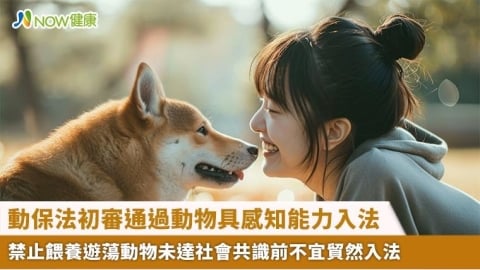 動保法初審通過動物具感知能力入法 禁止餵養遊蕩動物未達社會共識前不宜貿然入法
