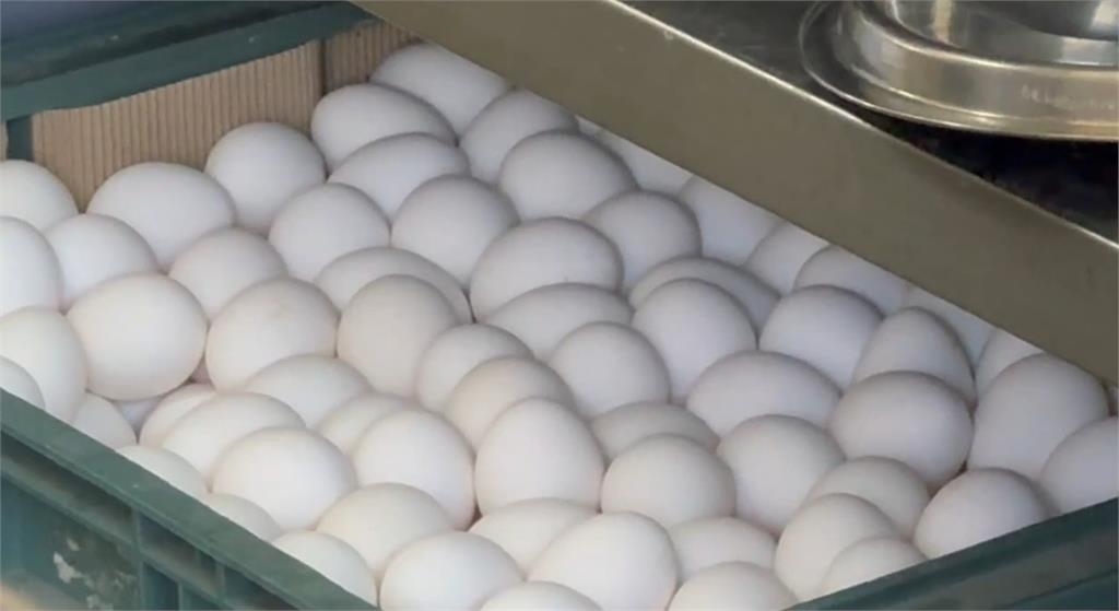 禽流感防疫失靈？　綠營砲轟盧市府洗白轉移焦點