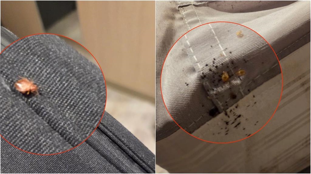 北車商旅開房間「掀床墊驚見排泄物」活蟲在爬！飯店「還原實情」回應了