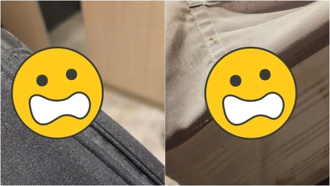 北車商旅開房間「掀床墊驚見排泄物」爬滿活蟲！飯店「還原實情」回應了