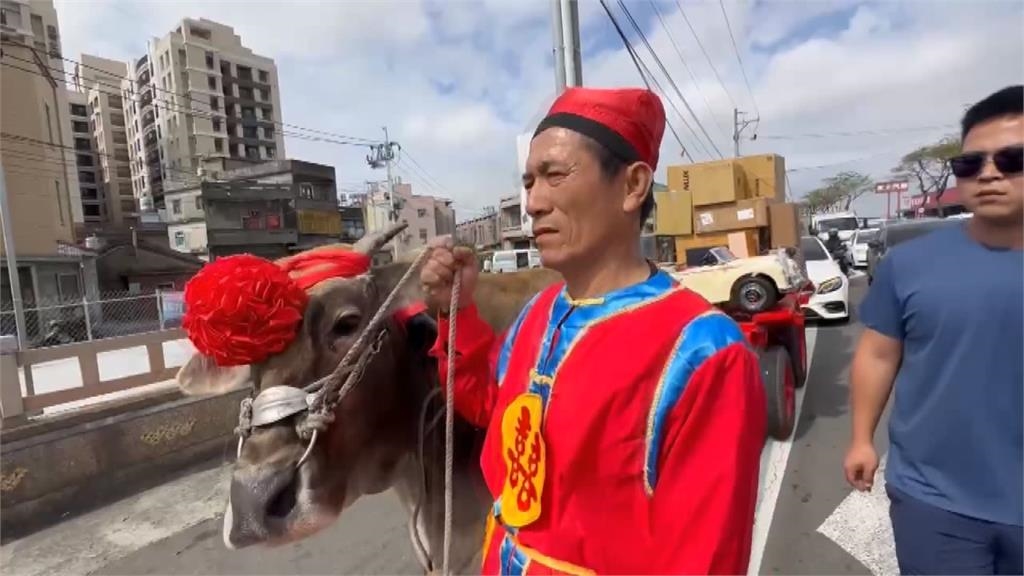 彰化花壇古禮迎親！新郎騎白馬　新娘坐紅花大轎「嫁妝一牛車」