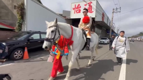 彰化花壇古禮迎親！新郎騎白馬　新娘坐紅花大轎「嫁妝一牛車」