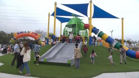 社頭里樂公園完工　新春來走春！　清水岩寺祈福、賞美麗茶花