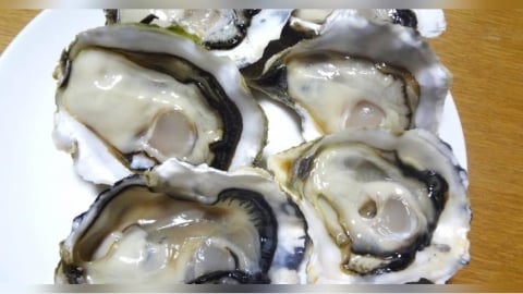 生蠔藏諾羅病毒風險！嘔吐、腹瀉恐找上門　食藥署教4招安心吃