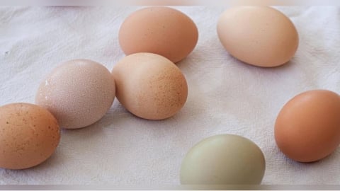 早餐不是吃清淡就好！醫揭「3大地雷組合」　牛奶配蛋竟上榜