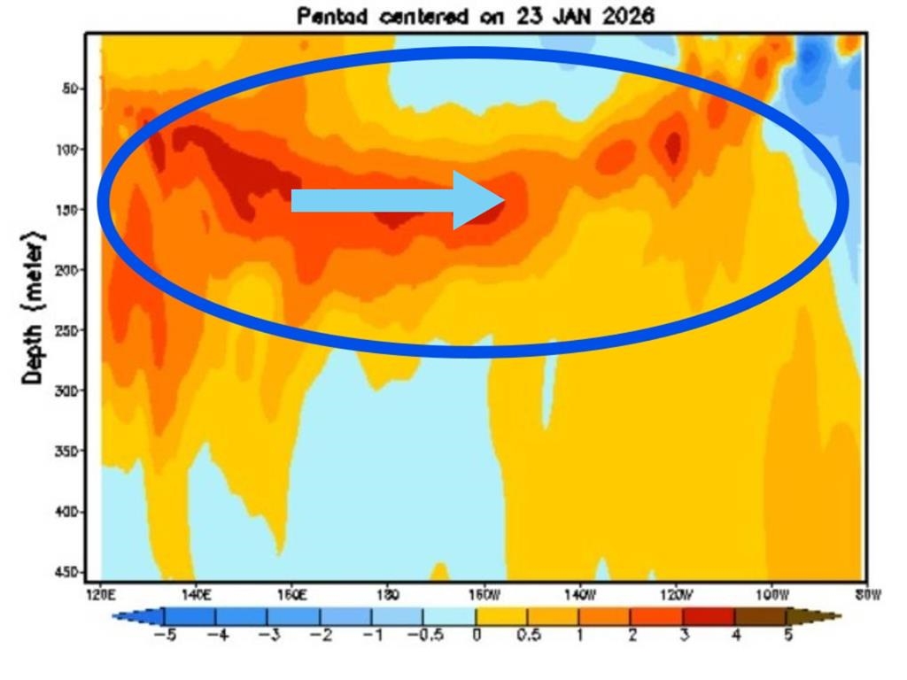 2026聖嬰現象「逐步升溫」影響台？前氣象局長揭「2關鍵」：前兆已浮現！