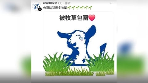 24個羊編?嘉南羊乳公關災難 網怒:三麗鷗才應該提告