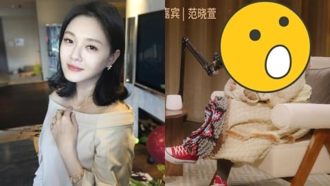 范曉萱談笑「神似大S」震撼近況曝光！大票網一看秒鼻酸：越來越像…