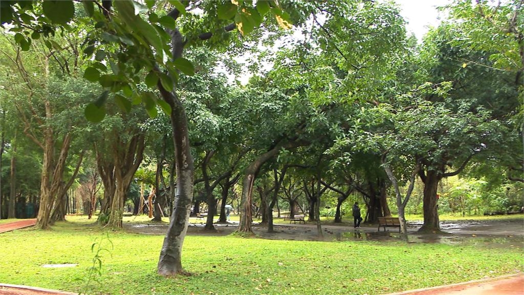 北市爆染漢他病毒亡　民眾憂大安森林公園松鼠有風險
