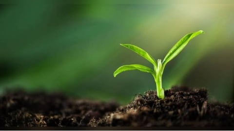 2／4入「立春」！四生肖易生病　養生方式及禁忌事項一覽