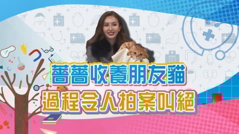 (影)/薔薔收養朋友的貓 過程令人拍案叫絕?