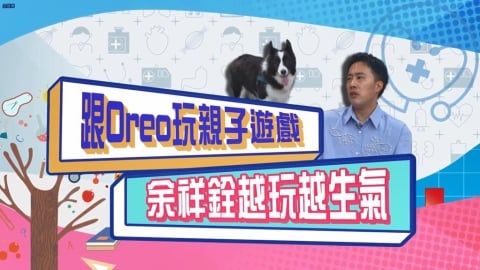 (影)/余祥銓想跟狗兒子玩親子遊戲 沒想到愈玩愈生氣?