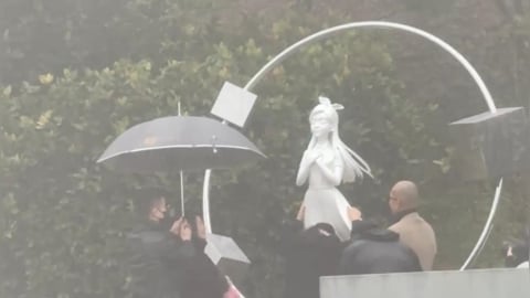 S幫都到了！親友齊揭粉紅帆布　S媽淚抱大S雕像