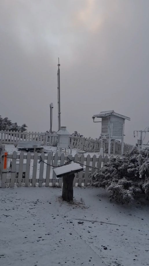 快新聞／有夠冷！水氣充足溫度低　玉山持續降雪中