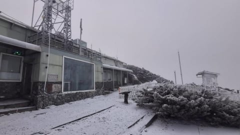 有夠冷！水氣充足溫度低　玉山持續降雪中