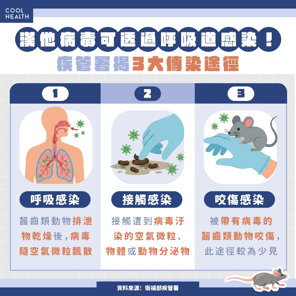 漢他病毒是什麼？ 吸入「鼠尿微粒」就可能中鏢
