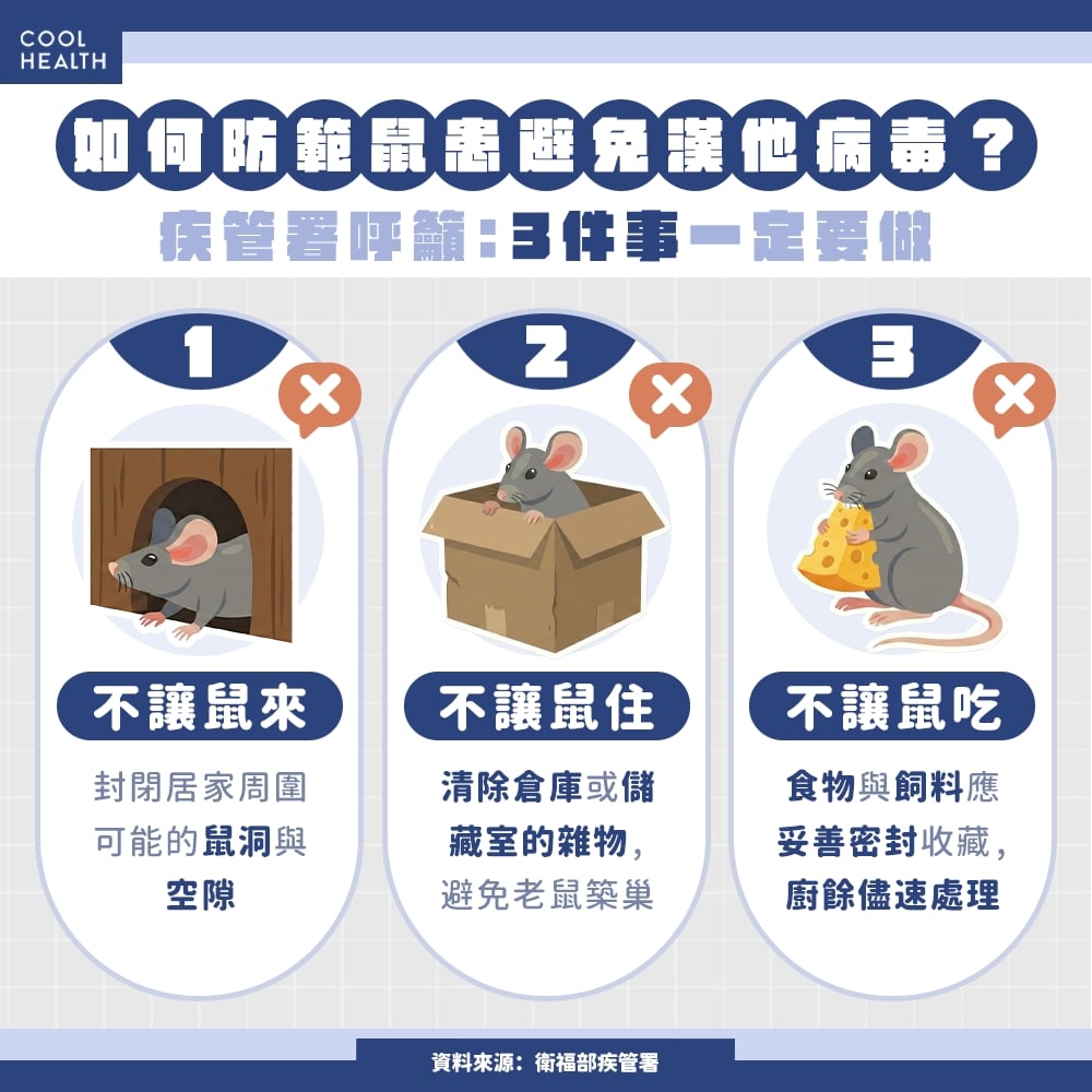 漢他病毒感染無特效藥可醫！ 大掃除切記「防鼠三不」 
